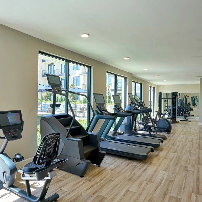 Pearl Lofts
